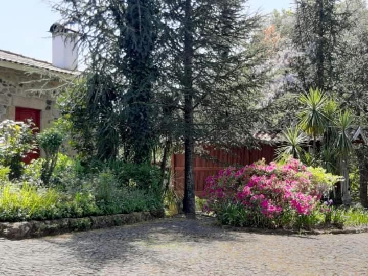 Quinta Da Chouza Agroturismo E Enoturismo Селорику ди Бащу Екстериор снимка