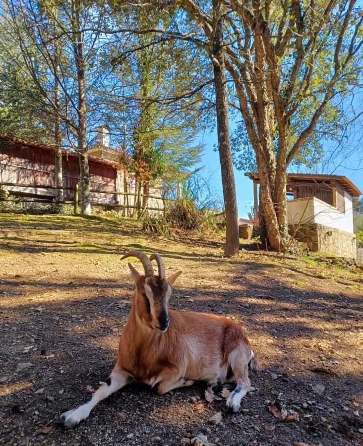 Quinta Da Chouza Agroturismo E Enoturismo Селорику ди Бащу Екстериор снимка