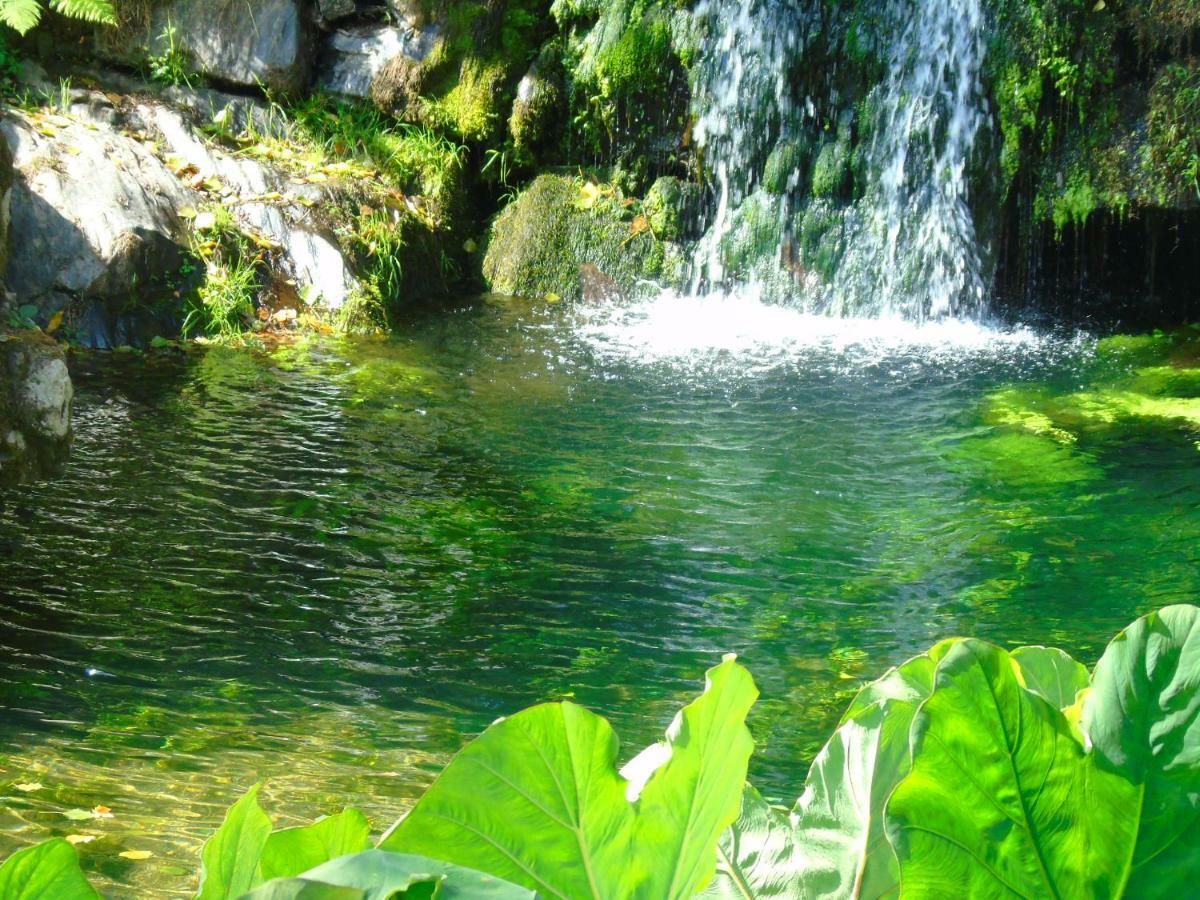 Quinta Da Chouza Agroturismo E Enoturismo Селорику ди Бащу Екстериор снимка