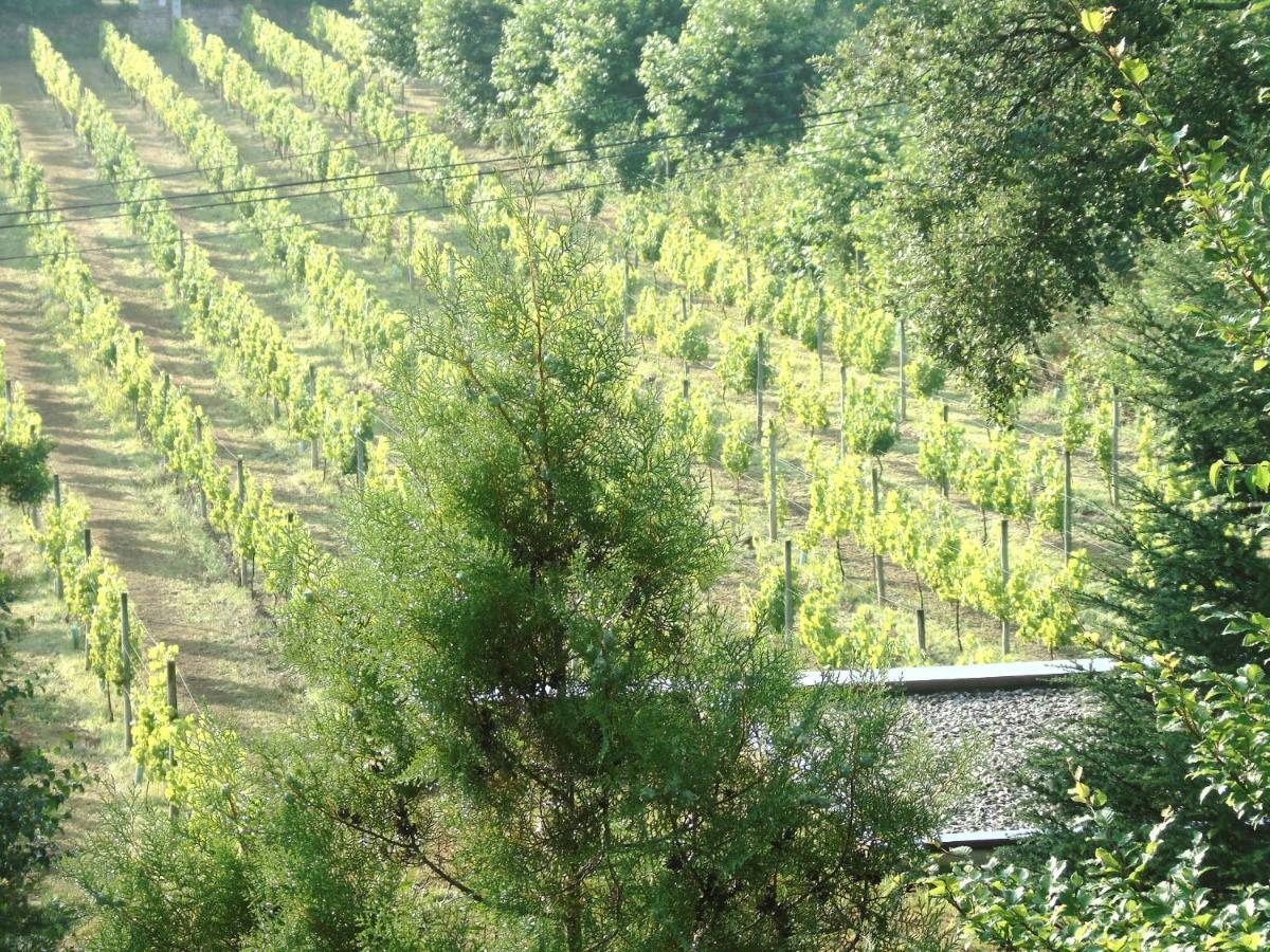 Quinta Da Chouza Agroturismo E Enoturismo Селорику ди Бащу Екстериор снимка