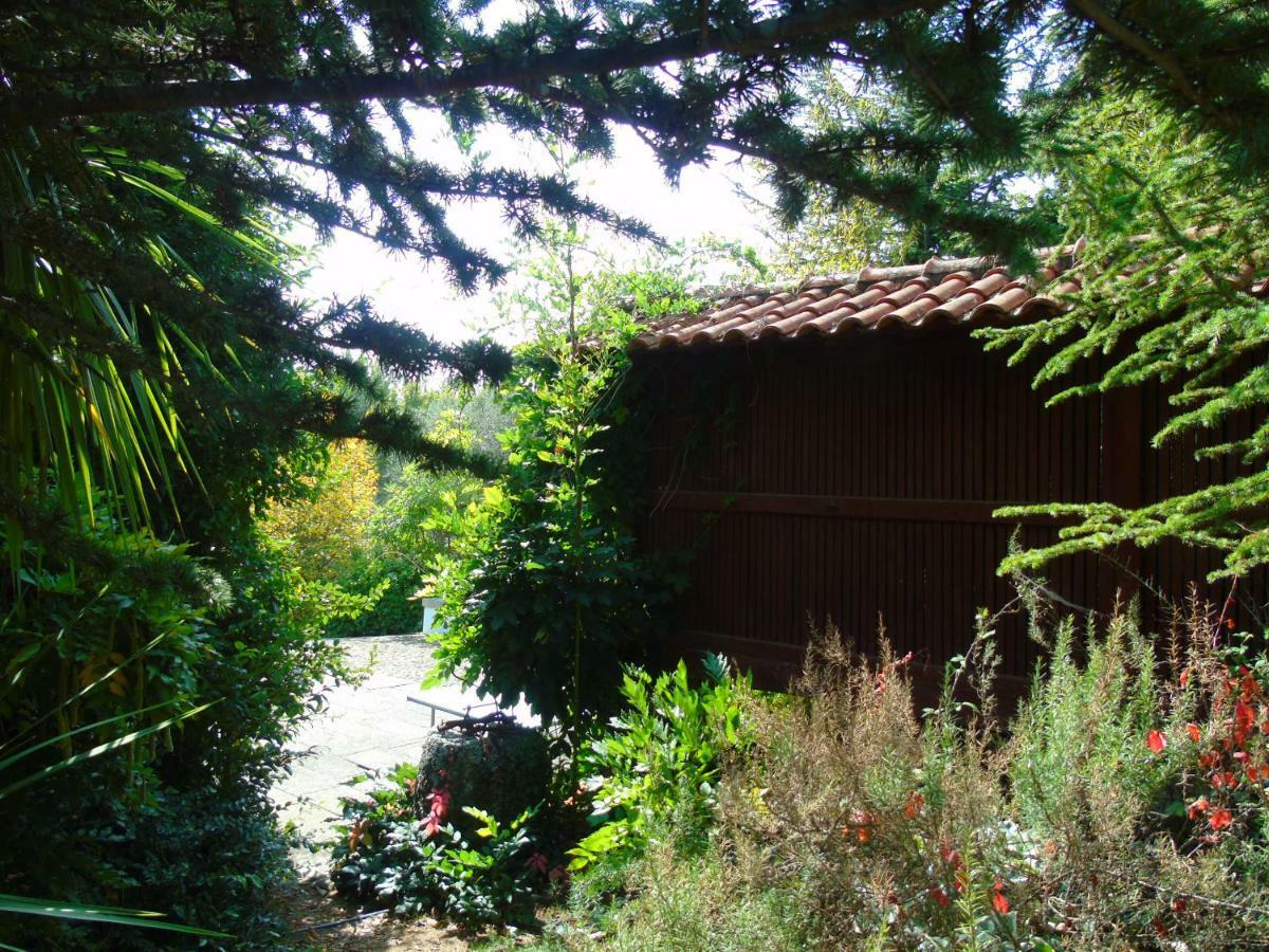 Quinta Da Chouza Agroturismo E Enoturismo Селорику ди Бащу Екстериор снимка